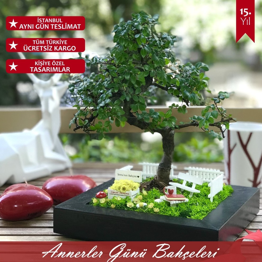 Minyatür Bahçe - Anneler Günü -SLIDER MOBIL